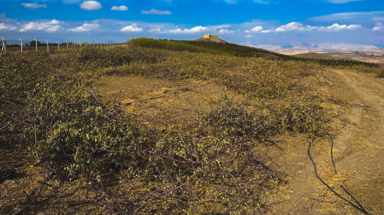 'Artık para etmiyor' diyerek sökmeye başladılar