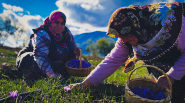 'Talep her ge&ccedil;en yıl artıyor' deyip fiyatını a&ccedil;ıkladı: Gramı 600 TL