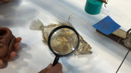 12 Yaşında Topladığı 5 Bin Fosille Bilim Müzesi Kurdu