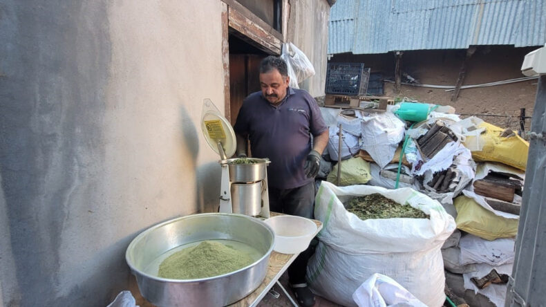 120 Farklı Bitkinin Karışımını Ekmekle Birleştiriyorlar