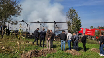 36 Arı Kovanı Alevlere Teslim Oldu