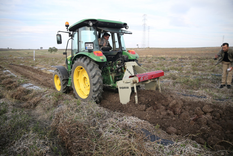 Edirne Kırmızısı Hasat Günü
