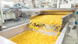 AB Ülkelerinde Makarna Üretimi Azaldı