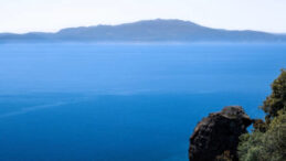 Akdeniz'de Facia: Bebekler Dahil Onlarca Kişi Hayatını Kaybetti