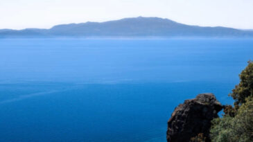 Akdeniz'de Facia: Bebekler Dahil Onlarca Kişi Hayatını Kaybetti