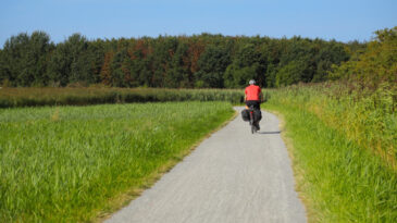 Alkollü Bisiklet Süren Öğretmen Görevden Alındı