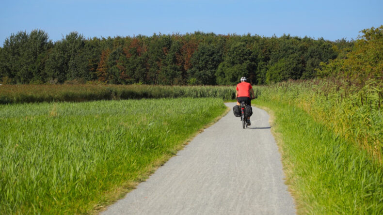 Alkollü Bisiklet Süren Öğretmen Görevden Alındı