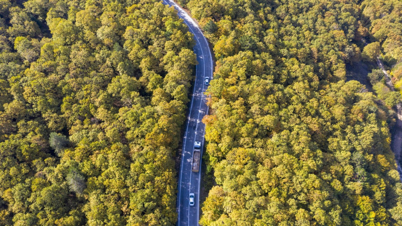 Sonbaharın Renkleri