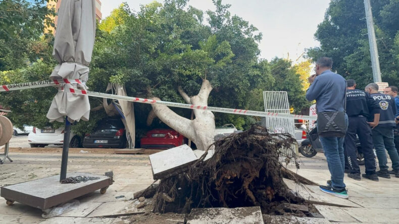 Antalya&rsquo;da Ağa&ccedil;, 5 Aracın &Uuml;zerine Devrildi