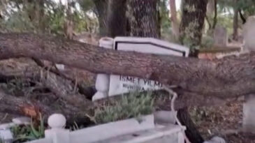 Antalya&rsquo;da Şiddetli R&uuml;zgar Mezarlıkta Ağa&ccedil;ları Devrildi