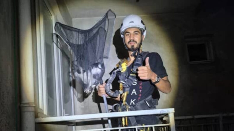 Apartman Boşluğuna Mahsur Kalan Yavru Kedi Kurtarıldı