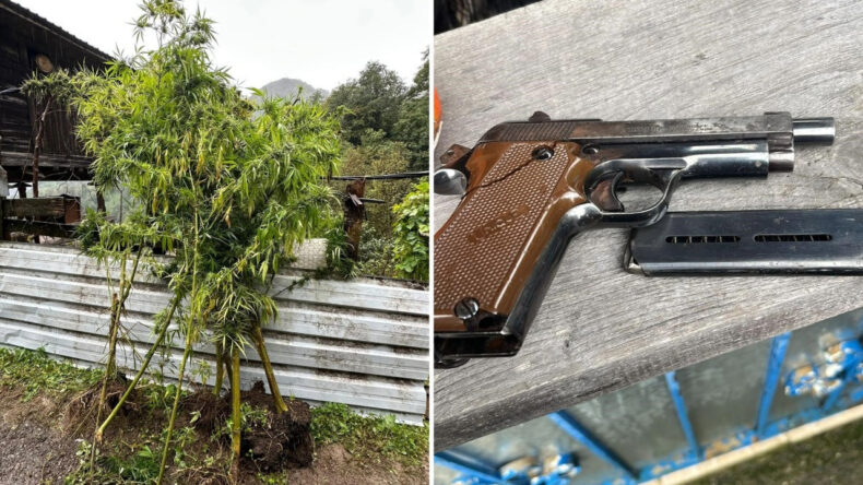 Artvin'de narkotik operasyonu: 5 gözaltı