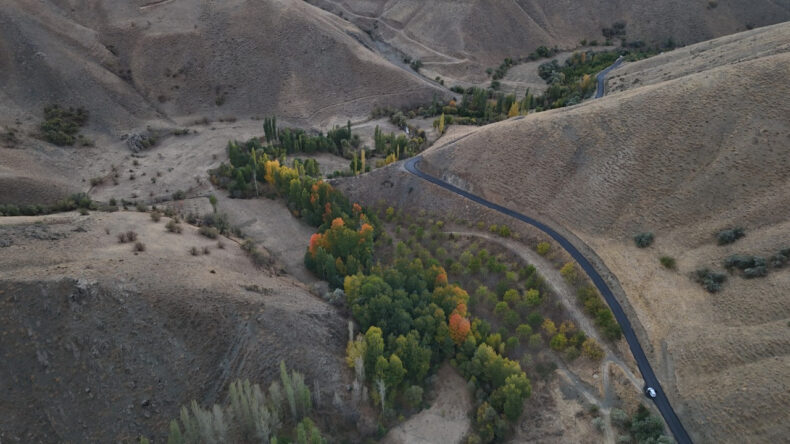 Babasından Kalan Araziden 8 Ton Ceviz Hasat Etti