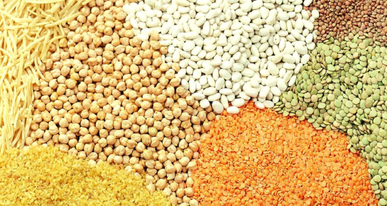 Bakliyat Üretiminde Büyük Düşüş