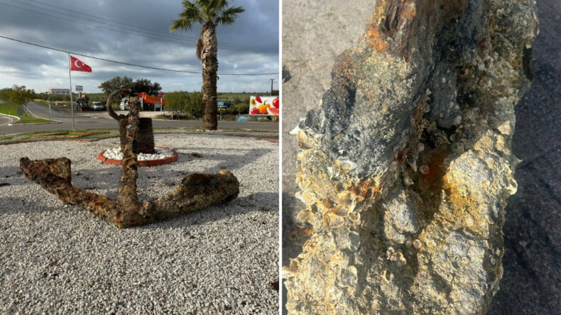 Balık&ccedil;ılar 200 Yıllık &Ccedil;apaya Denk Geldi: 3 Ton Ağırlığında