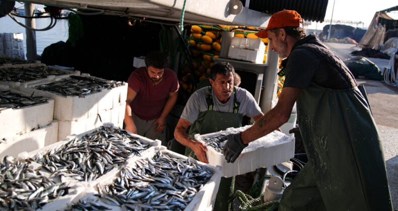 Balıkçılar Hamsi İçin Yeni Yılı Bekliyor