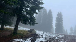 Bartın'ın Yüksek Kesimlerine Kar Yağışı Gerçekleşti