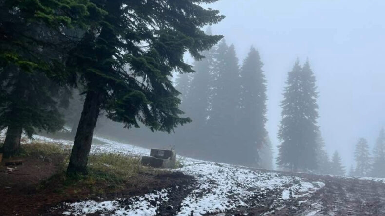 Bartın'ın Yüksek Kesimlerine Kar Yağışı Gerçekleşti