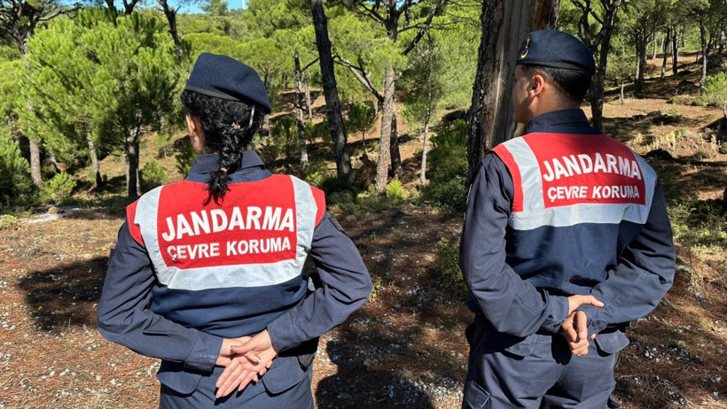 Endemik Bitkiler Kontrolü