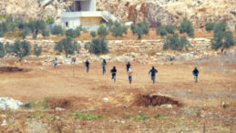 Batı Şeria'da Tansiyon Artıyor: Filistinli Çiftçilere Saldırı