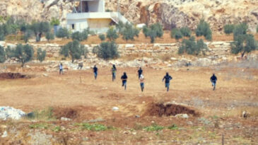 Batı Şeria'da Tansiyon Artıyor: Filistinli Çiftçilere Saldırı