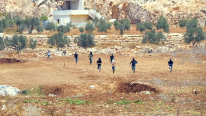 Batı Şeria'da Tansiyon Artıyor: Filistinli Çiftçilere Saldırı