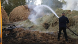Bin Bağ Ot Kül Olarak Yok Oldu