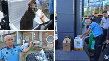 Bir otob&uuml;sten neler &ccedil;ıktı neler! Tayland&rsquo;dan balık, Tokat&rsquo;tan horoz, İstanbul&rsquo;dan kalkan