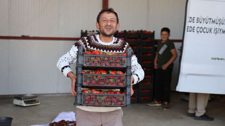 Bir zamanlar barbunya ekiyorlardı, &uuml;r&uuml;n değiştirdiler şimdi talebe yetişemiyorlar