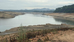 Bodrum Kuraklıkla Boğuşuyor: İki Baraj Kritik Durumda
