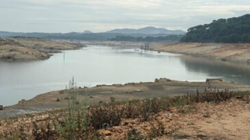 Bodrum Kuraklıkla Boğuşuyor: İki Baraj Kritik Durumda