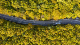 Bolu'da Sonbahar Cümbüşü