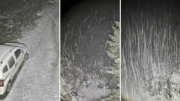 Bolu'da Yaylalara Kar Düştü