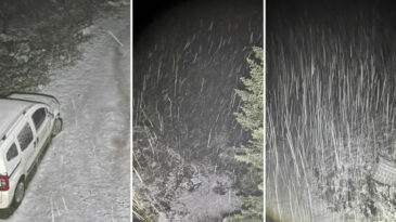 Bolu'da Yaylalara Kar Düştü