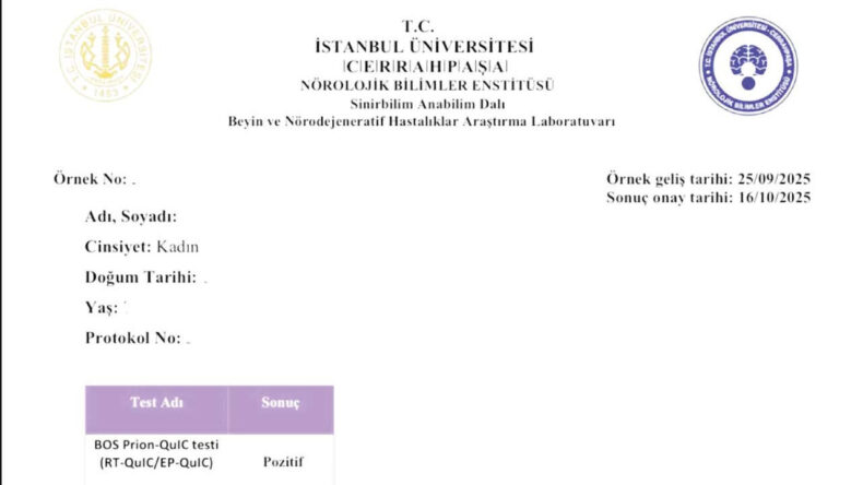 Bolu’da Deli Dana Vakası Ortaya Çıktı