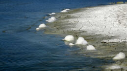 Burdur Gölü'ndeki Köpüklenme Kaygı Yarattı