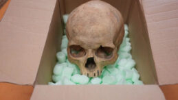 Çaldığı kafatasını 60 yıl sonra iade etti