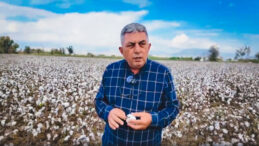 Çiftçi Mesut Yörükoğlu'ndan Yükselen İsyan: 26 TL'ye Pamuk Olmaz!