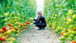 Çiftçilere Kredi Darbesi Uyarısı