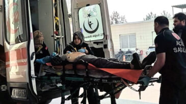 Ceviz toplarken feci şekilde hayatını kaybetti