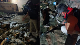 Ceyhan Nehri'nde Balık &Ouml;l&uuml;mleri İnceleniyor