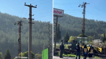 Cezayı g&ouml;r&uuml;nce elektrik direğine tırmandı