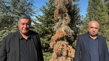 CHP'li G&uuml;rer: Acil M&uuml;cadele Şart, Yoksa Toroslar'da Orman Kalmayacak