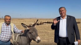 CHP'li Vekil Anlattı: 1 İnekle Geçiniyordum, Şimdi 20 İnekle Geçinemiyorum