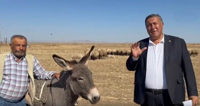 CHP'li Vekil Anlattı: 1 İnekle Geçiniyordum, Şimdi 20 İnekle Geçinemiyorum