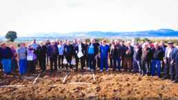 CHP'li vekil Erdoğan'a seslendi: 1 kilo domates fiyatına 1 metrekare veriyorlar