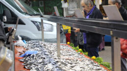 Deniz Soğumadı, Hamsi Zayıf ve Yağsız Kaldı