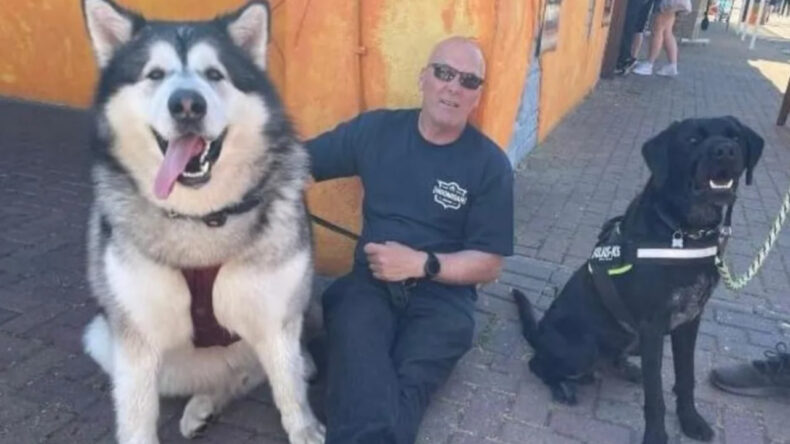Devasa Köpek Mal, Ülke Genelinde Şöhret Kazandı