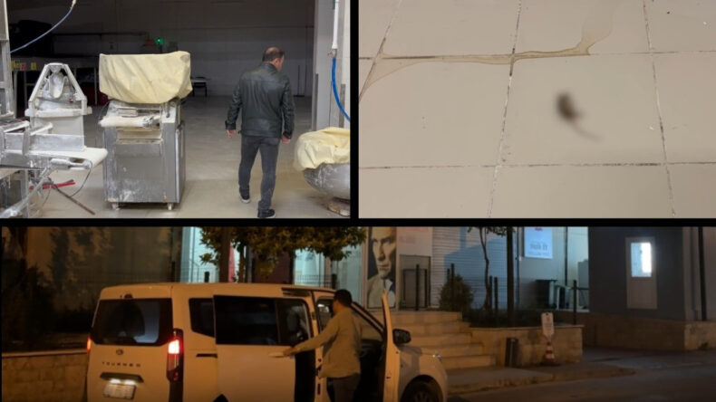 Ekmek Fabrikasına Gece Yarısı Fare Baskını
