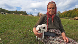 Eşini Kaybeden Kadın Hayatını Hayvanlara Adadı